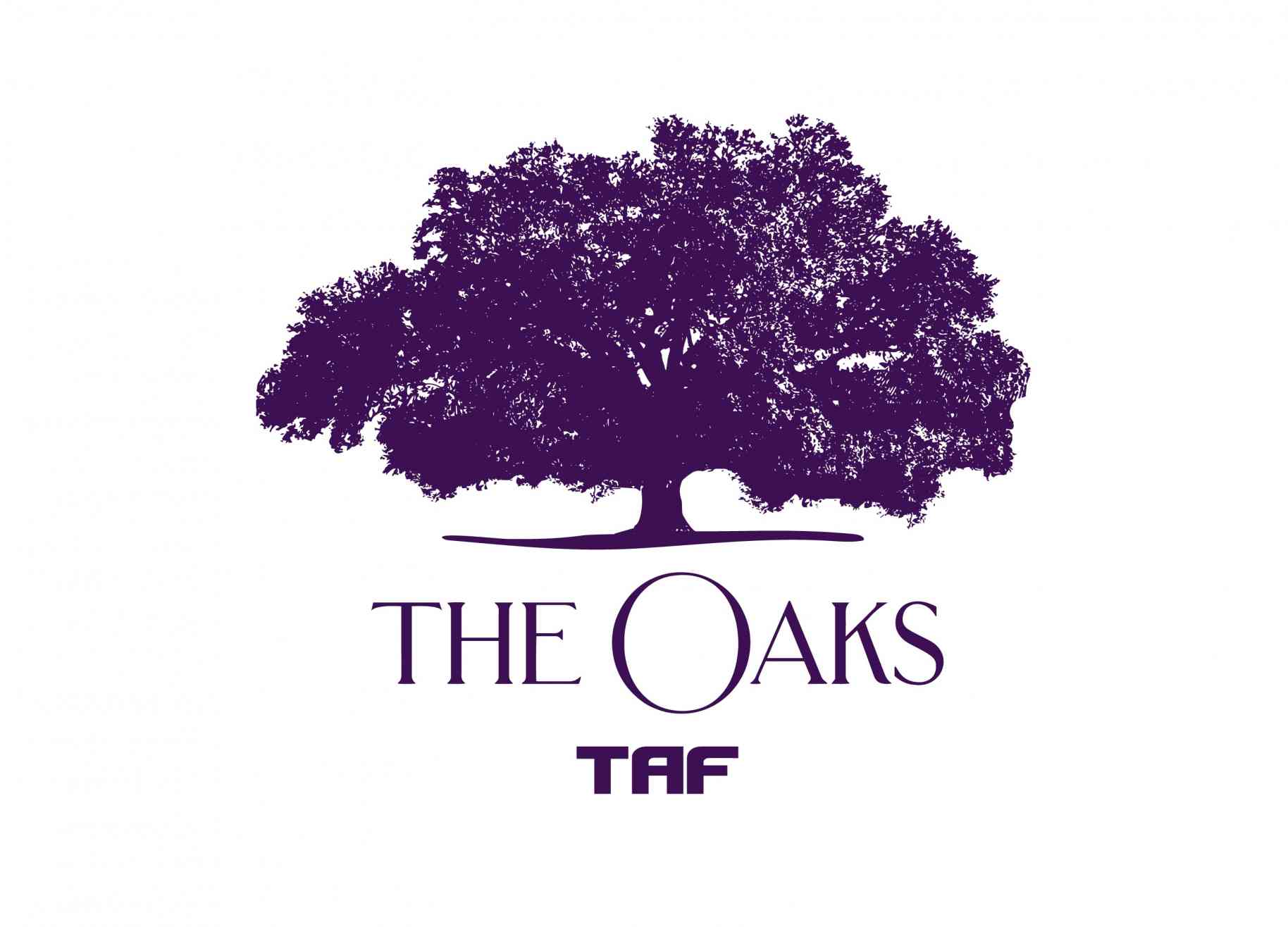 Taf Oaks Corporate Purple 3 18